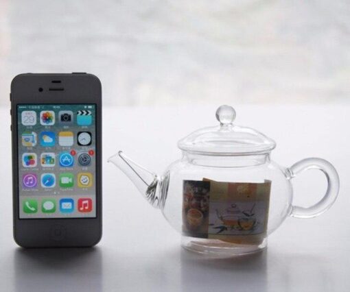 Mini-Théières en Verre Gong Fu Cha 250ml | OkO-OkO