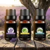 Huiles essentielles grade thérapeutique lavande, bergamote et eucalyptus en Provence | OkO-OkO