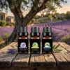 Huiles essentielles grade thérapeutique sur une table sous un olivier en Provence | OkO-OkO