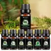 Huile essentielle <br>Thérapeutiques grade - Menu N°6. | OkO-OKO™ huiles-essentielles-Connifers-therapeutiques-grade-menu-n-6-oko-oko-1-1