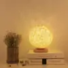 Décoration lumineuse <br>Lampe Déco Ronde en Rotin | OkO-OKO™ Lampe déco tabe de chevet | OkO OkO