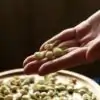 Thee en Infusie <br>Jasmijnbloem. | OkO-OKO™ Jasmijnbloementhee in houten bord met bloem in de hand| oko oko