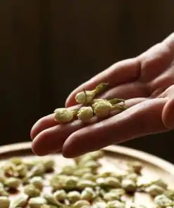 Jasminblütentee in Holzschale mit Blume in der Hand| oko oko