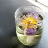 Thé et Infusion <br> Thé Fleur de Lotus (fleur entière). | OkO-OKO™ Thé Fleur de Lotus dans un verre à thé | OkO-OkO