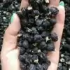 Dried black goji berries, close-up | oko-oko