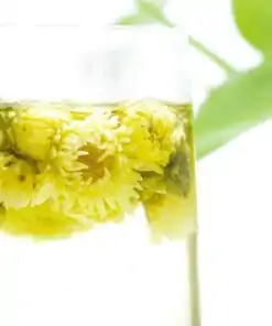 bio Chrysanthementee kaufen | oko-oko