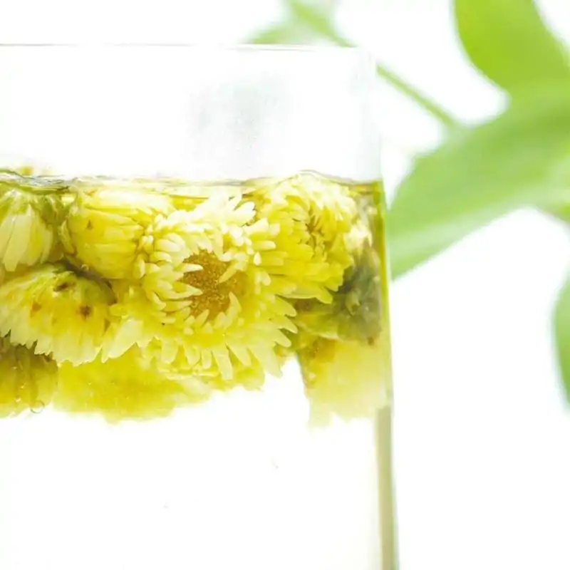 Tea and Infusion <br>Organic Chrysanthemum Tea. | OkO-OKO™ buy Organic Chrysanthemum Tea | oko-oko