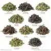 Thé et Infusion <br>Assortiment de Thé. | OkO-OKO™ Assortiment de thé expliquations oko oko