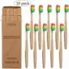 Brosse à dents Eco-Friendly Bamboo Biodegradable 10Pcs  | OkO-OkO
