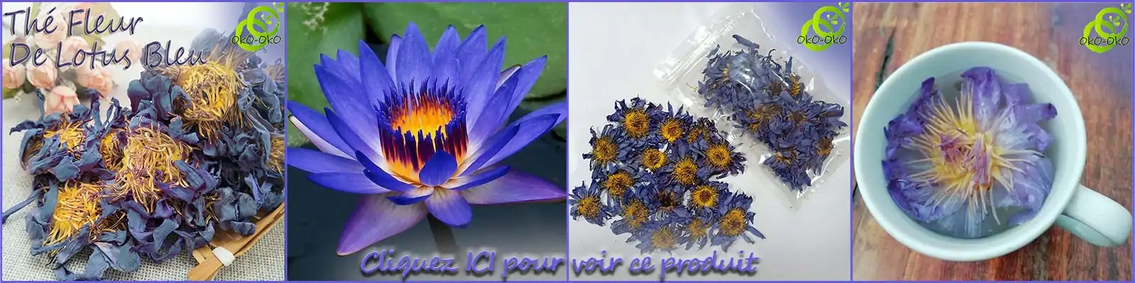 Todo sobre los beneficios de Lotus. | OkO-OKO™ Beneficios de Banner Lotus 2