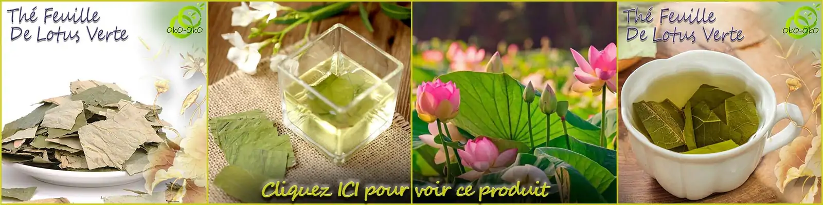 Todo sobre los beneficios de Lotus. | OkO-OKO™ Banner Lotus Benefits 3