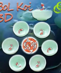 Bol à Thé Koi 3D | OkO-OkO