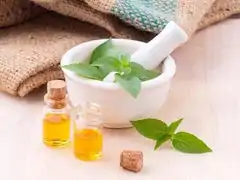 Bol aromat menthe et huiles oko oko