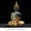 Seated Buddha statue seen from behind | oko oko