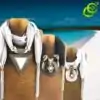 Sieraden Sjaal ketting sieraden. | OkO-OKO™ Ketting sjaal sieraden 3 kleuren | oko oko
