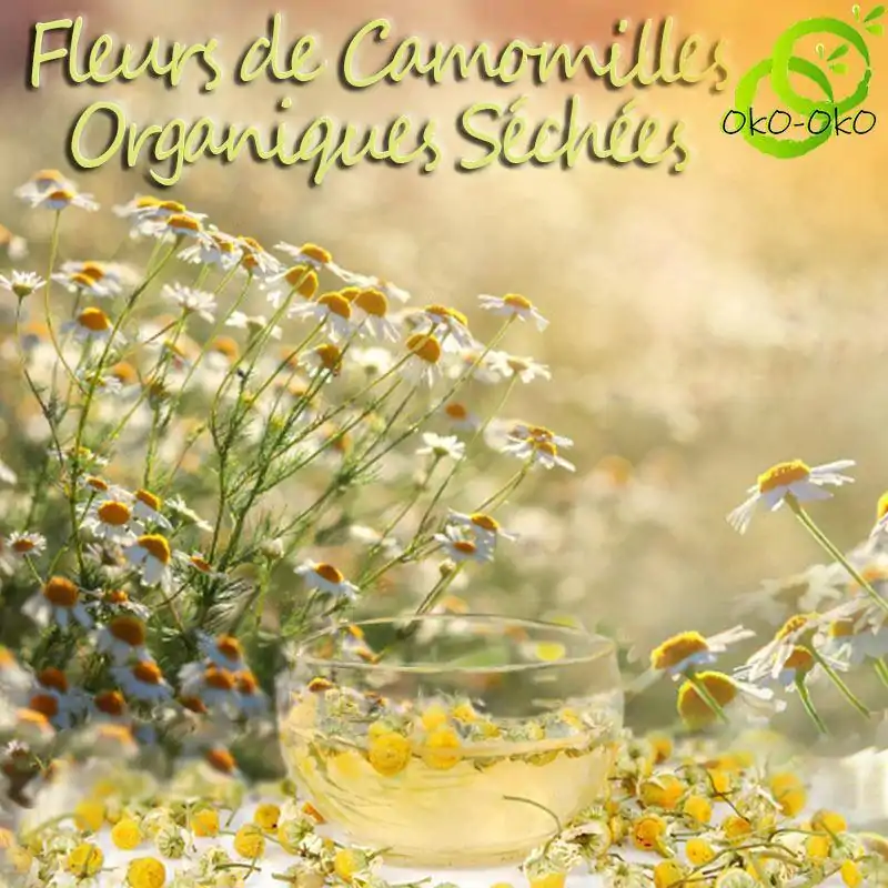 Thé et Infusion <br> Fleur de camomille séchée | OkO-OKO™ Thé de Fleur de Camomille Séchée pour infusion et soigner les yeux | OkO-OkO