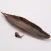Incense Leaf Holder Variant 3 | OkO-OkO