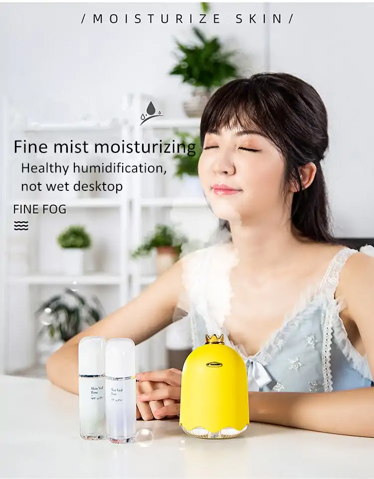 Diffuseur d'huiles essentielles Humidificateur d'air ultrasonique 250 ML moins cher | OkO-OkO