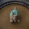 Tea Pets <br> Chien Foo ou Kylin. | OkO-OKO™ Tea Pets Chien Foo ou Kylin vue de face | OkO-OkO