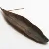 Incense Leaf Holder Variant 1 | OkO-OkO