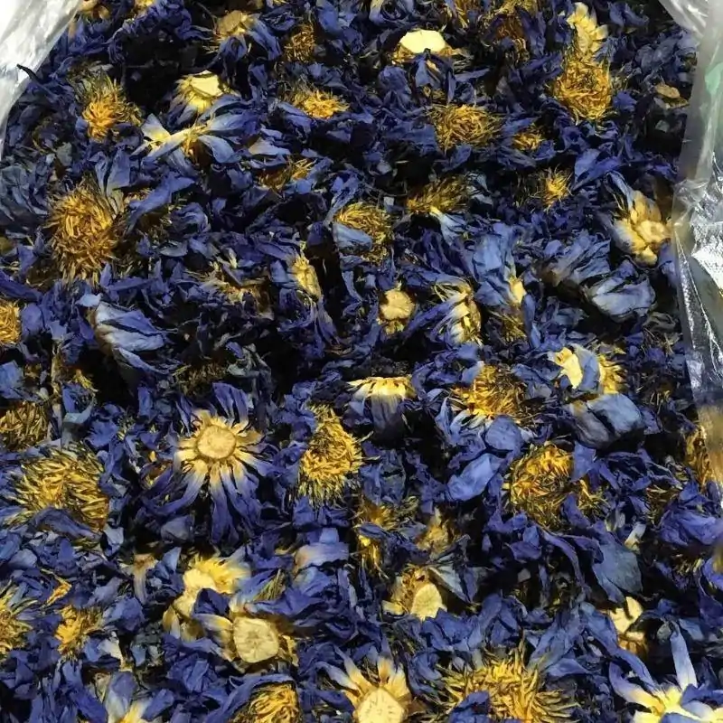 Thé et Infusion <br> Thé Fleur de Lotus (fleur entière). | OkO-OKO™ Thé Fleur de Lotus fleur entière | OkO-OkO