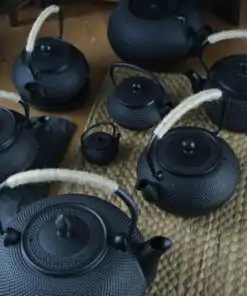Teekanne aus Gusseisen Japanese Sortiment mit 6 Kapazitäten | oko-oko