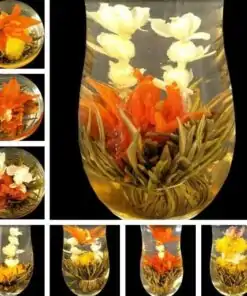 Teeblume, die sich im Wasser öffnet 10 Varianten | OkO-OkO