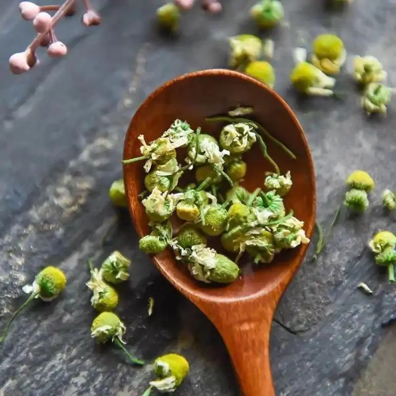 Thé et Infusion <br> Fleur de camomille séchée | OkO-OKO™ Fleur de Camomille Séchée dans une cuillière en bois | OkO-OkO