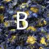 Thé et Infusion <br> Thé Fleur de Lotus (fleur entière). | OkO-OKO™ Thé Fleur de Lotus 100g | OkO-OkO