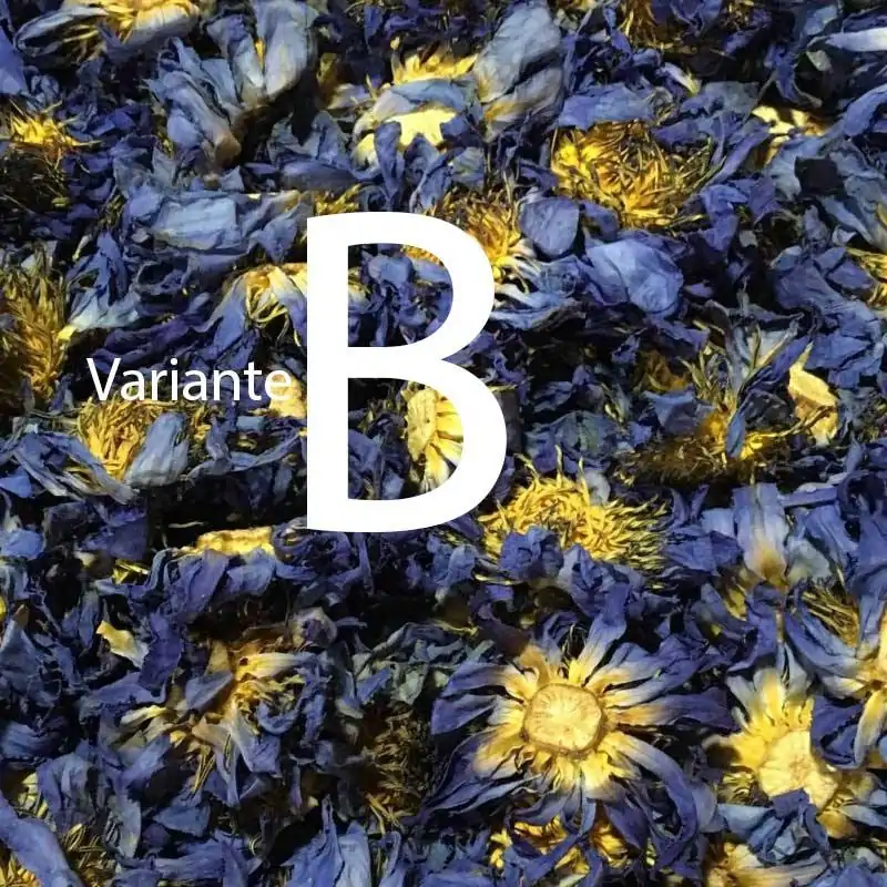 Thé et Infusion <br> Thé Fleur de Lotus (fleur entière). | OkO-OKO™ Thé Fleur de Lotus 100g | OkO-OkO