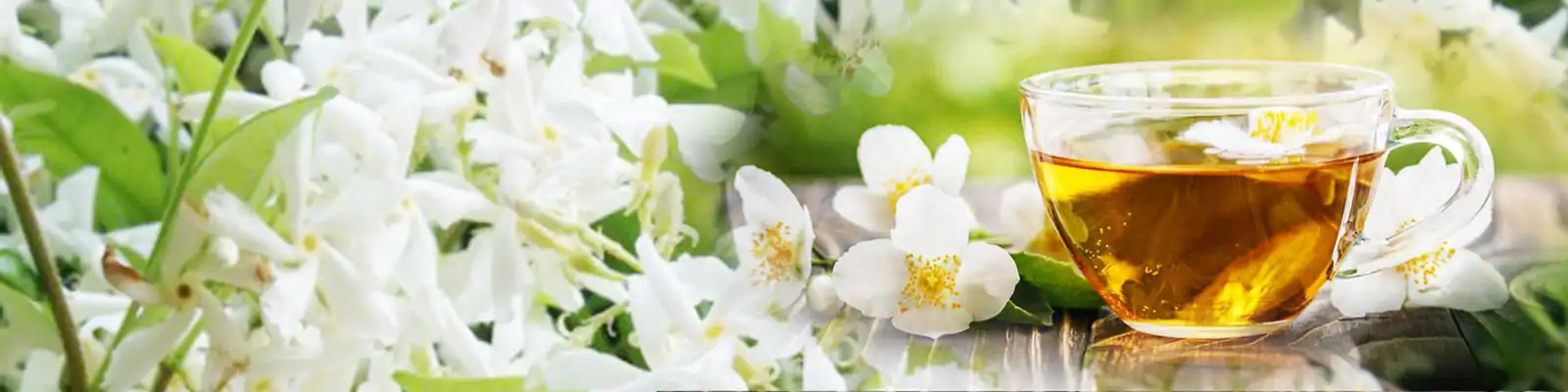 Thee en Infusie <br>Jasmijnbloem. | OkO-OKO™ Jasmijn oko-oko thee