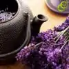 Thé et Infusion Lavande. | OkO-OkO™