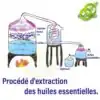 Huile essentielle <br>Thérapeutiques grade - Menu N°3. | OkO-OKO™ Huile essentielle Thérapeutiques grade - Menu N°3. | OkO-OkO™