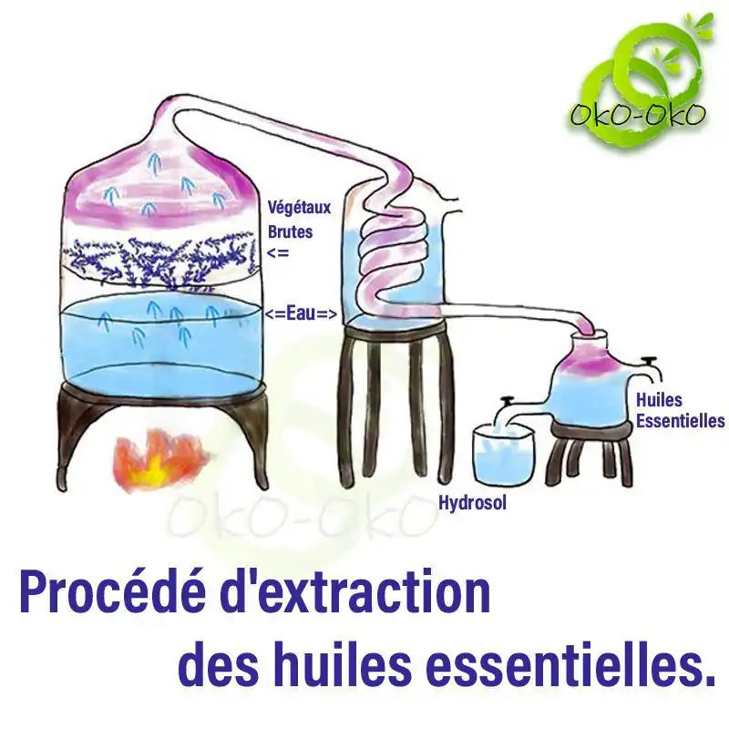 Huile essentielle <br> Thérapeutiques grade - Menu N°2 . | OkO-OKO™ HuilesFabrication Essentielles N°2 | OkO-OkO
