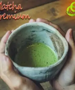 Matcha Grüntee Bio Premium | OkO-OkO