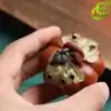 Tea Pets Pompoen (6 kleuren). | OkO-OKO™ Thee Pets Pumpkin gehouden in één hand | OkO-OkO