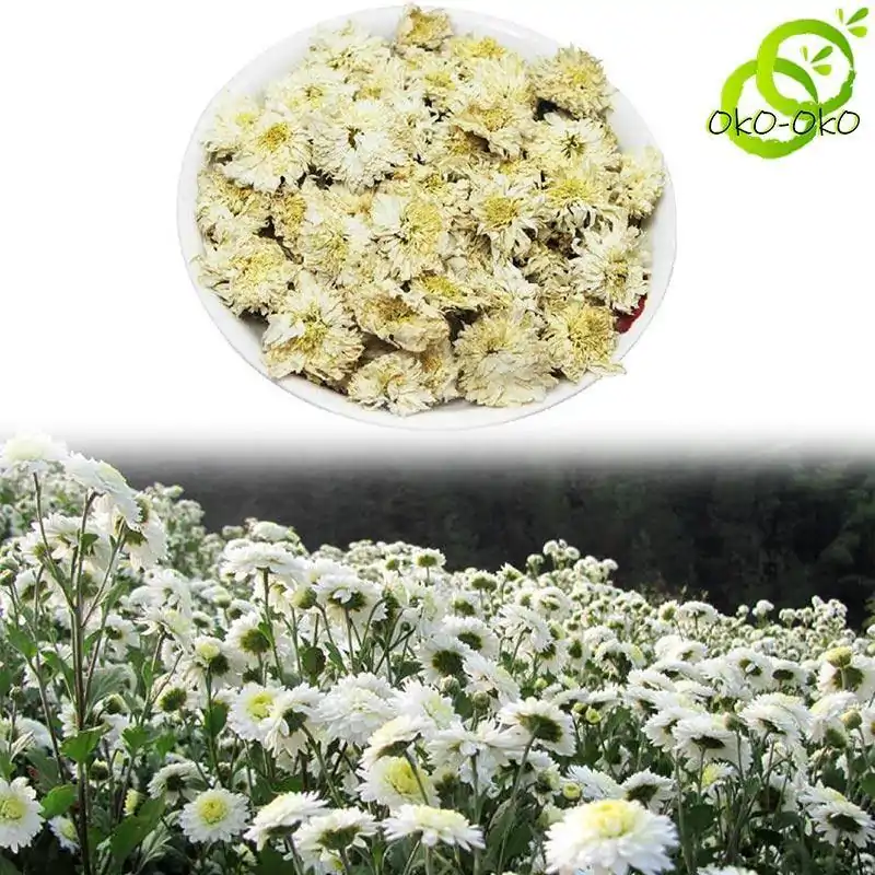 Weißer Chrysanthementee günstig kaufen | OkO-OkO