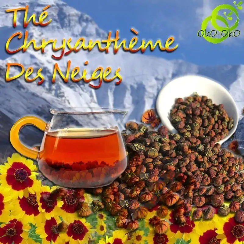 Thé et Infusion <br> Chrysanthème des Neiges. | OkO-OKO™ Acheter Thé Chrysanthème des Neiges pas cher | OkO-OkO