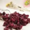Thé et Infusion <br> Hibiscus. | OkO-OKO™ Thé d'hibiscus Sabdariffa | okooko