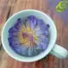 Thé et Infusion <br> Thé Fleur de Lotus (fleur entière). | OkO-OKO™ Thé Fleur de Lotus en infusion dans une tasse | OkO-OkO