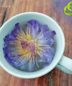 Té de flores de loto en una taza | OkO-OkO