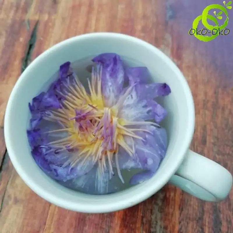 Thé et Infusion <br> Thé Fleur de Lotus (fleur entière). | OkO-OKO™ Thé Fleur de Lotus en infusion dans une tasse | OkO-OkO
