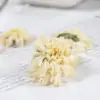 Tee und Aufguss Weiße Chrysanthemenblüte (Gong Ju). | OkO-OKO™ Tee und Kräutertee Blume weiße Chrysantheme (Gong Ju). | OkO-OkO™