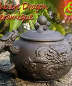 Théière Dragon en céramique | OkO-OkO