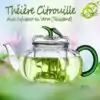 Théières en Verre Citrouille (avec filtre) | oko-oko