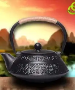 Teekanne aus Gusseisen Tetsubin Fugui Chinesisch | okooko