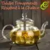 Théière Transparente | OkO-OkO