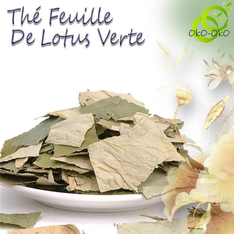 Thé et Infusion <br> Feuille de lotus Verte. | OkO-OKO™ Thé de Feuille de Lotus Verte séchées Organique | OkO-OkO