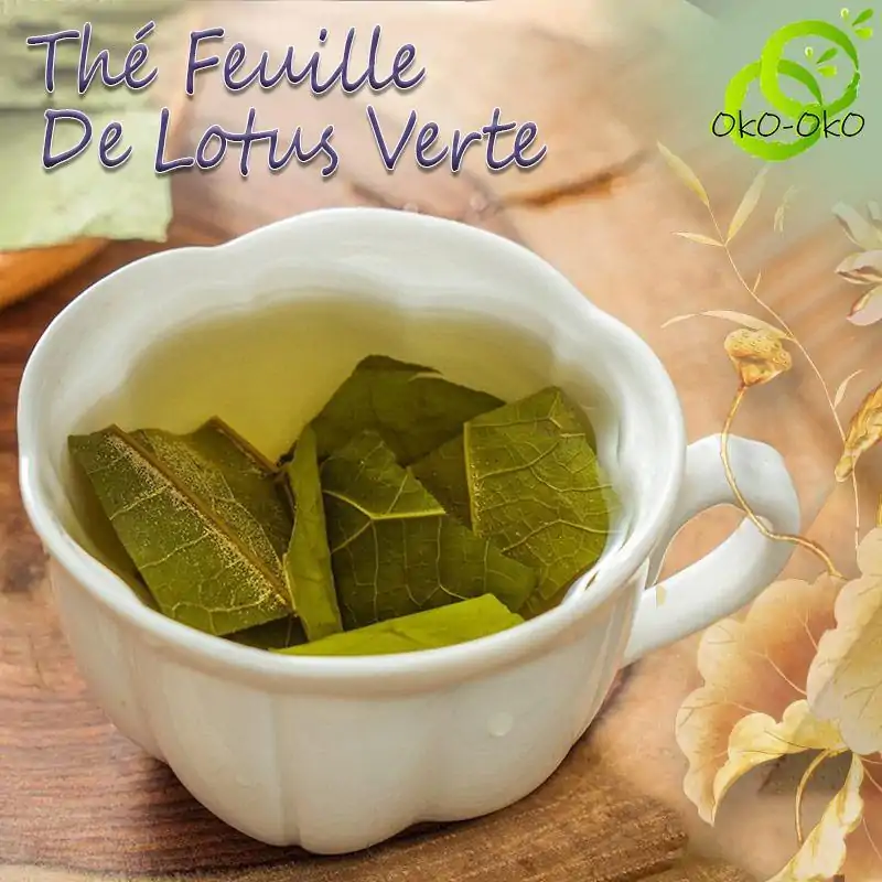 Thé et Infusion <br> Feuille de lotus Verte. | OkO-OKO™ Thé de Feuille de Lotus Verte Organique | OkO-OkO