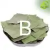 Thé et Infusion <br> Feuille de lotus Verte. | OkO-OKO™ Thé de Feuille de Lotus Variante B | OkO-OkO